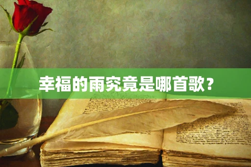 幸福的雨究竟是哪首歌？
