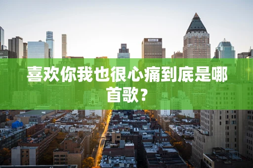 喜欢你我也很心痛到底是哪首歌？