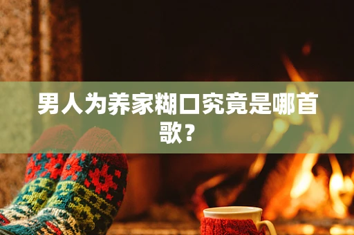 男人为养家糊口究竟是哪首歌？