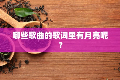 哪些歌曲的歌词里有月亮呢？