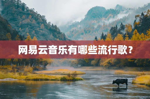 网易云音乐有哪些流行歌？