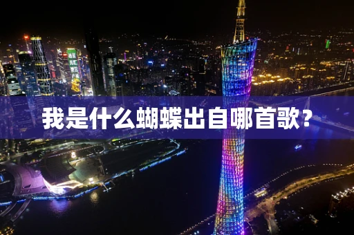 我是什么蝴蝶出自哪首歌？