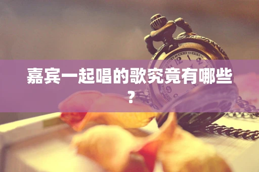 嘉宾一起唱的歌究竟有哪些？