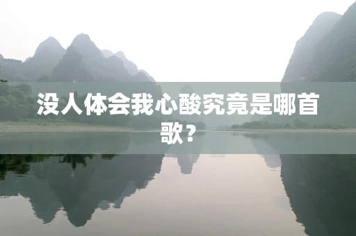 没人体会我心酸究竟是哪首歌？