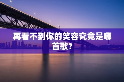 再看不到你的笑容究竟是哪首歌？