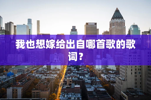 我也想嫁给出自哪首歌的歌词？