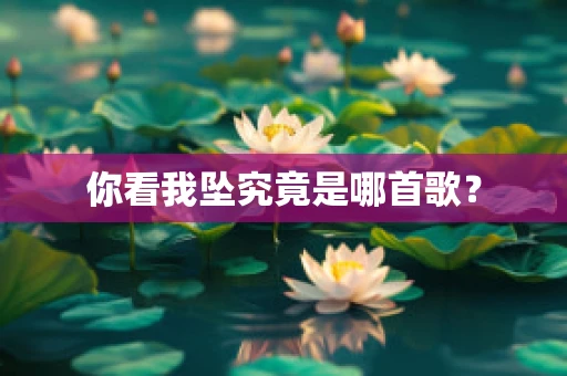 你看我坠究竟是哪首歌？