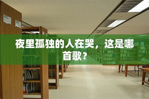 夜里孤独的人在哭，这是哪首歌？