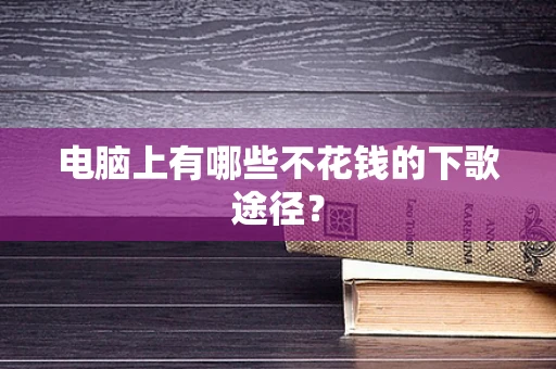 电脑上有哪些不花钱的下歌途径？