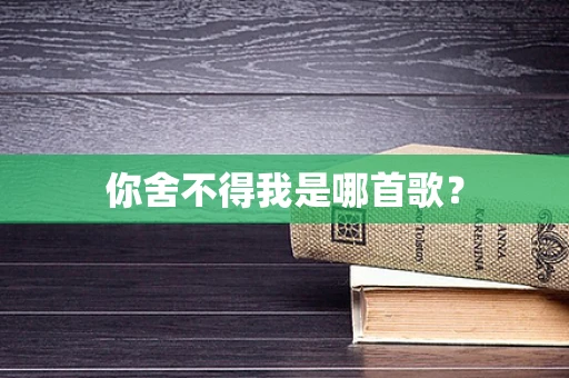 你舍不得我是哪首歌？