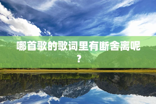 哪首歌的歌词里有断舍离呢？