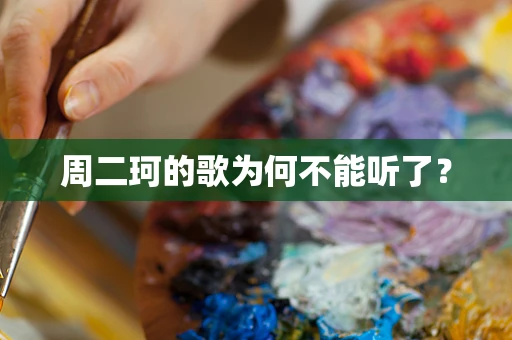 周二珂的歌为何不能听了？