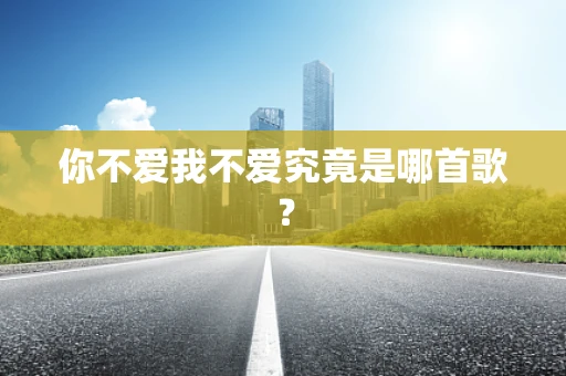 你不爱我不爱究竟是哪首歌？
