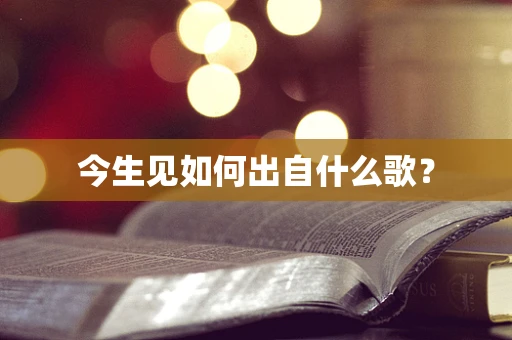 今生见如何出自什么歌？