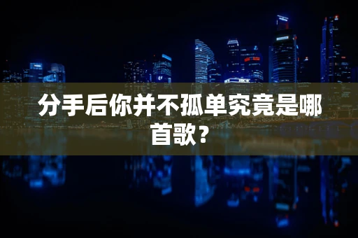 分手后你并不孤单究竟是哪首歌？