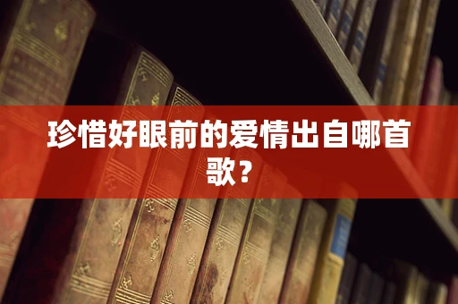 珍惜好眼前的爱情出自哪首歌？
