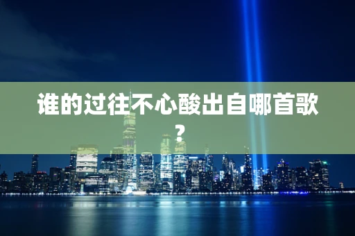 谁的过往不心酸出自哪首歌？