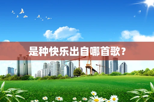 是种快乐出自哪首歌？
