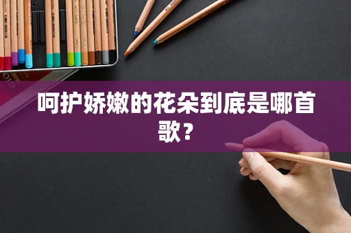 呵护娇嫩的花朵到底是哪首歌？