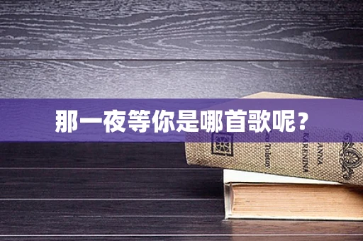 那一夜等你是哪首歌呢？