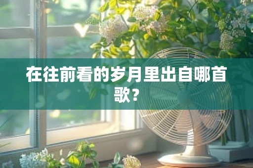在往前看的岁月里出自哪首歌？