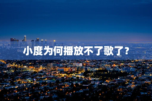 小度为何播放不了歌了？