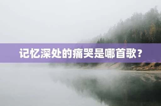 记忆深处的痛哭是哪首歌？
