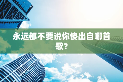 永远都不要说你傻出自哪首歌？