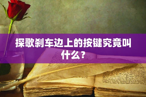 探歌刹车边上的按键究竟叫什么？