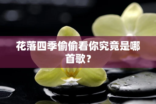 花落四季偷偷看你究竟是哪首歌？
