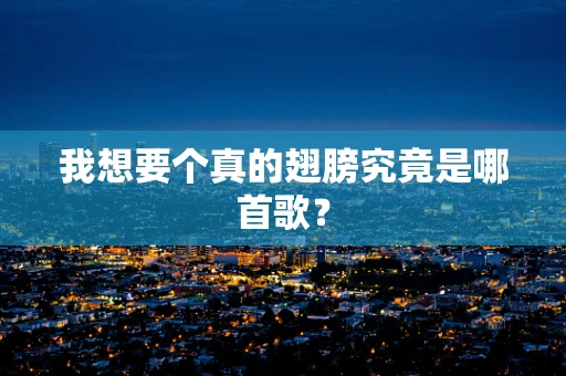 我想要个真的翅膀究竟是哪首歌？