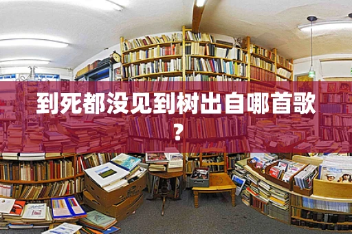 到死都没见到树出自哪首歌？