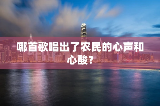 哪首歌唱出了农民的心声和心酸？