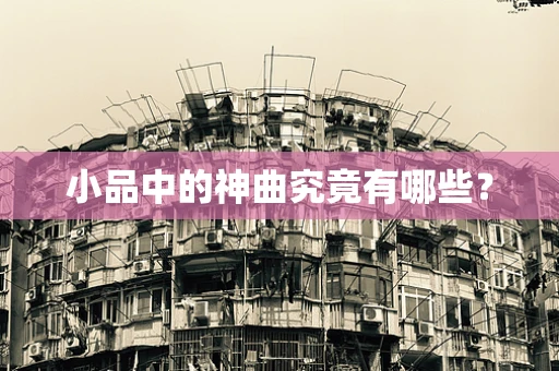 小品中的神曲究竟有哪些？
