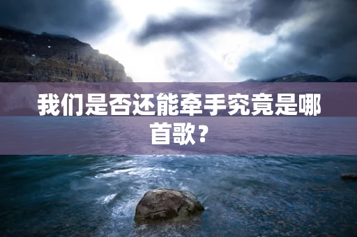 我们是否还能牵手究竟是哪首歌？