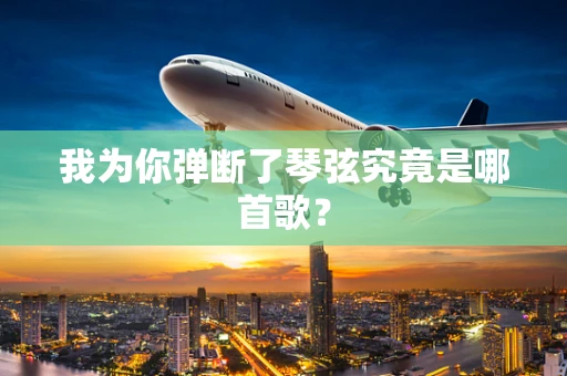 我为你弹断了琴弦究竟是哪首歌？