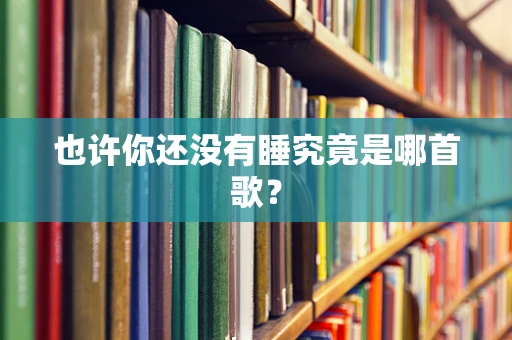 也许你还没有睡究竟是哪首歌？