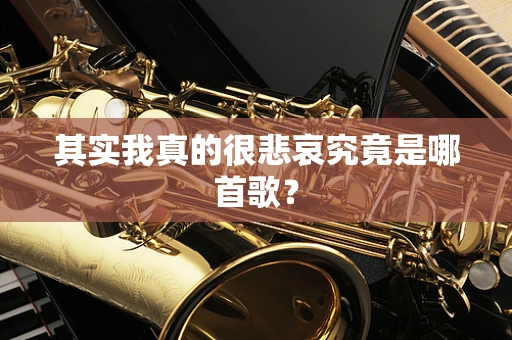 其实我真的很悲哀究竟是哪首歌？