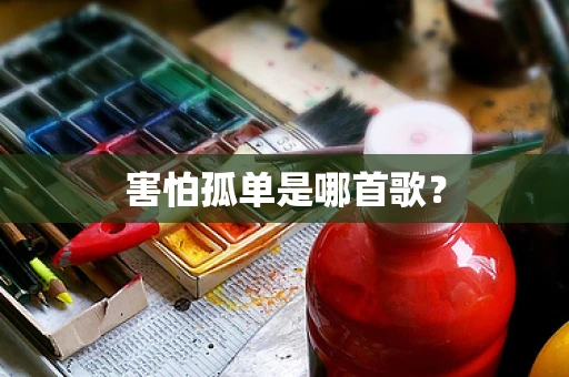 害怕孤单是哪首歌？