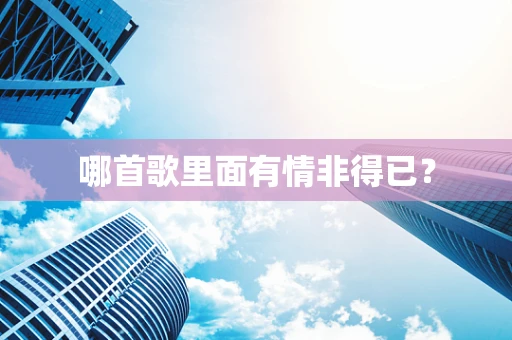 哪首歌里面有情非得已？