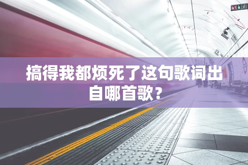 搞得我都烦死了这句歌词出自哪首歌？