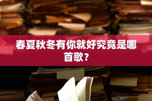 春夏秋冬有你就好究竟是哪首歌？