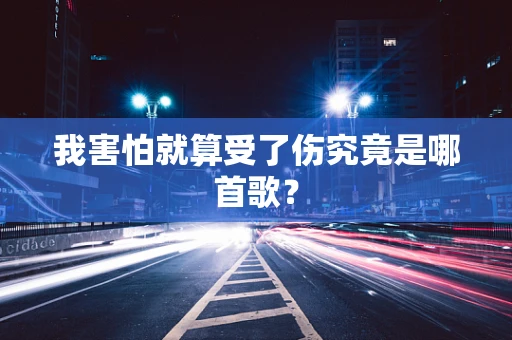我害怕就算受了伤究竟是哪首歌？