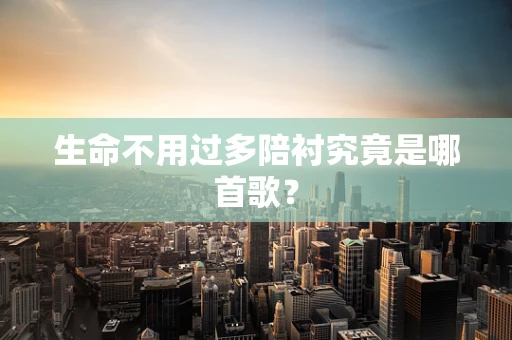生命不用过多陪衬究竟是哪首歌？