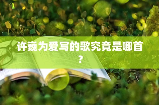 许巍为爱写的歌究竟是哪首？