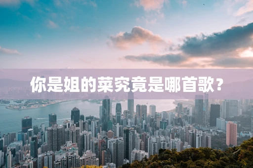 你是姐的菜究竟是哪首歌？