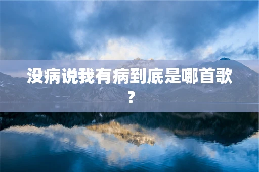 没病说我有病到底是哪首歌？