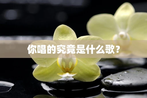 你唱的究竟是什么歌？