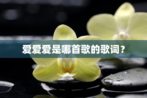 爱爱爱是哪首歌的歌词？
