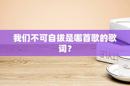 我们不可自拔是哪首歌的歌词？